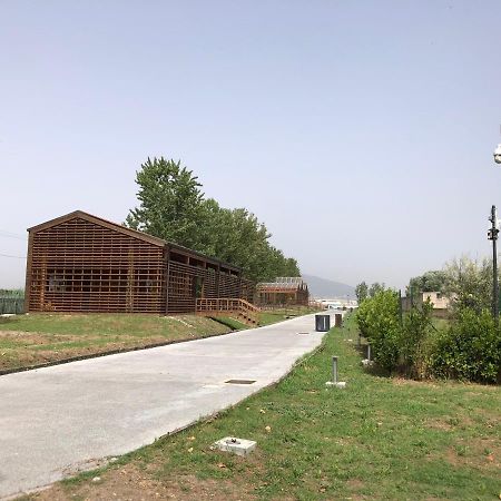 Bnb Nonna Maria Poggiomarino Exteriér fotografie